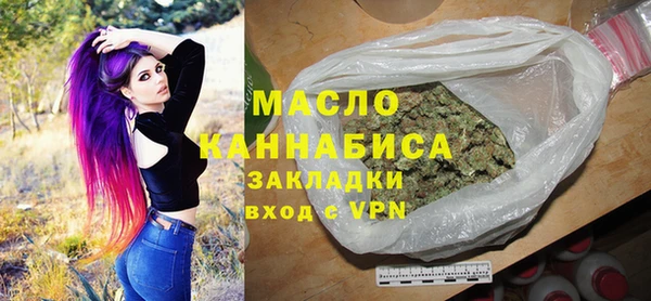молекула духа Ельня