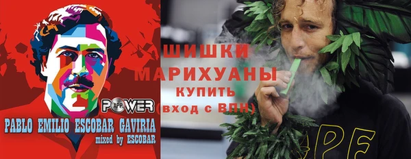 ПСИЛОЦИБИНОВЫЕ ГРИБЫ Алексин