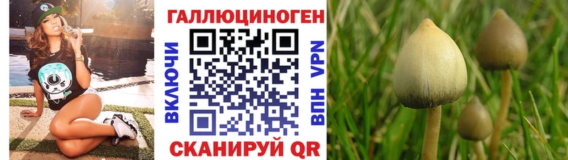Галлюциногенные грибы GOLDEN TEACHER  хочу   ссылка на мегу ССЫЛКА  Волгоград 